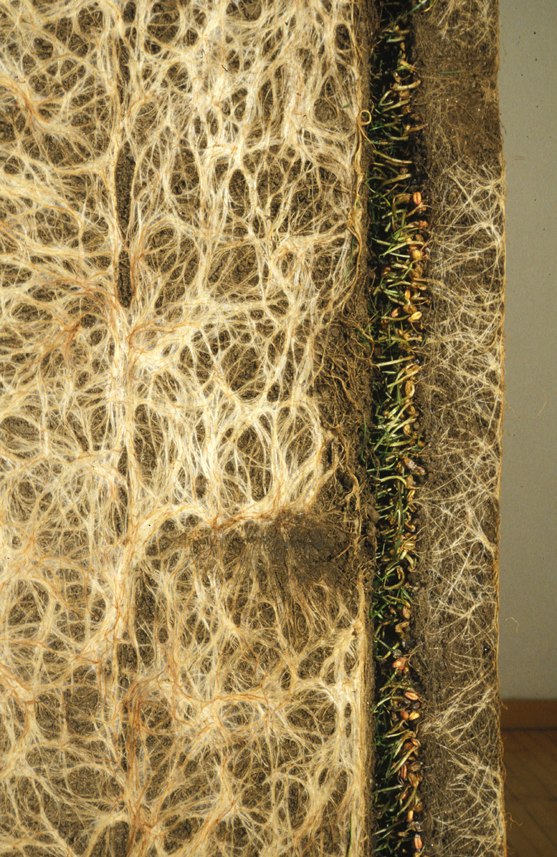 Simon Foreman, Yggdrasil — close-up, root network